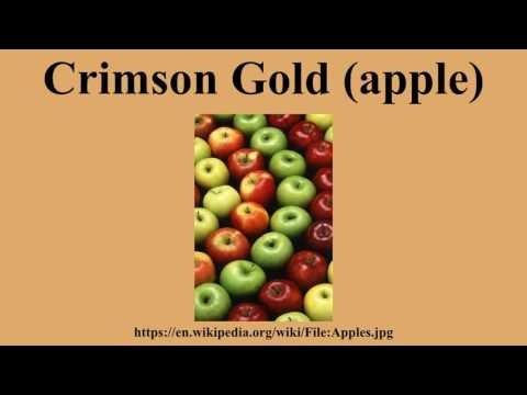 Crimson Gold (apple)