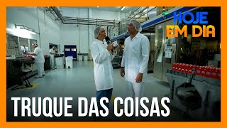 Confira o passo a passo da produção do leite