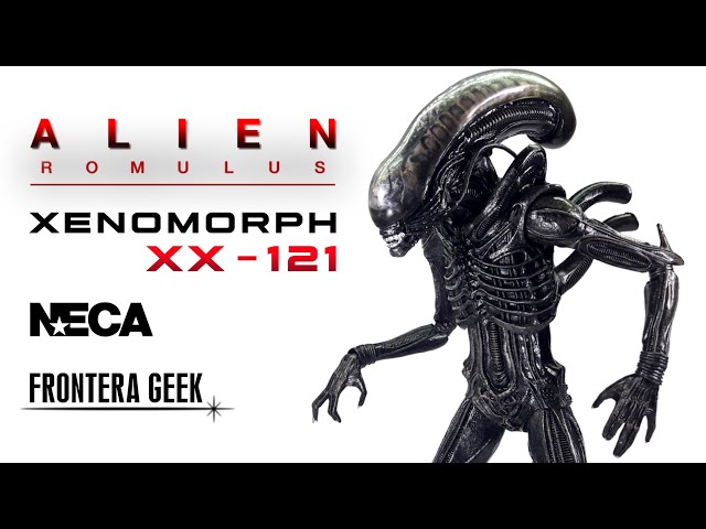 Vídeo relacionado con Ultimate Xenomorph xx121 Scale Action Figura 18 cm Alien: Romulus