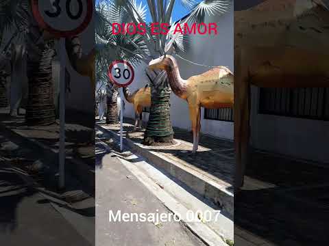 Alcaldia de EL PAUJIL CAQUETA