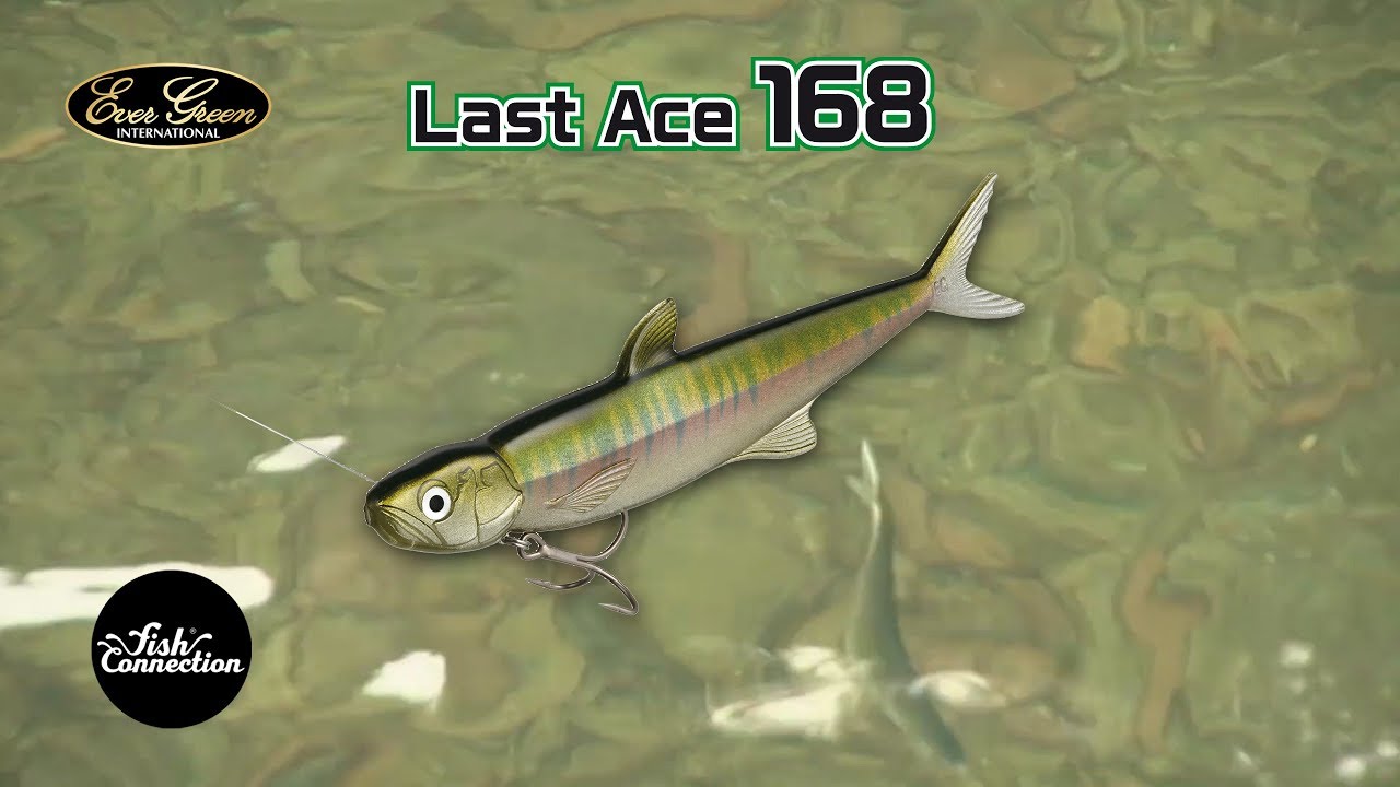 Ever Green Last Ace 168mm 26.5g video thumbnail