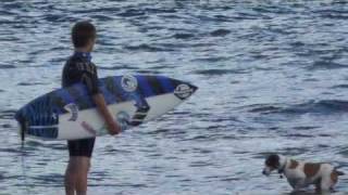 preview picture of video 'SC Grom in Kauai'