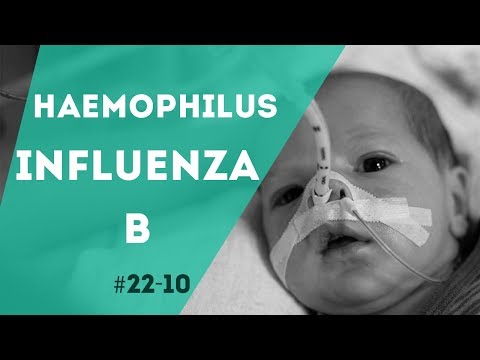 PNN 22.10 - L'Haemophilus Influenza B
