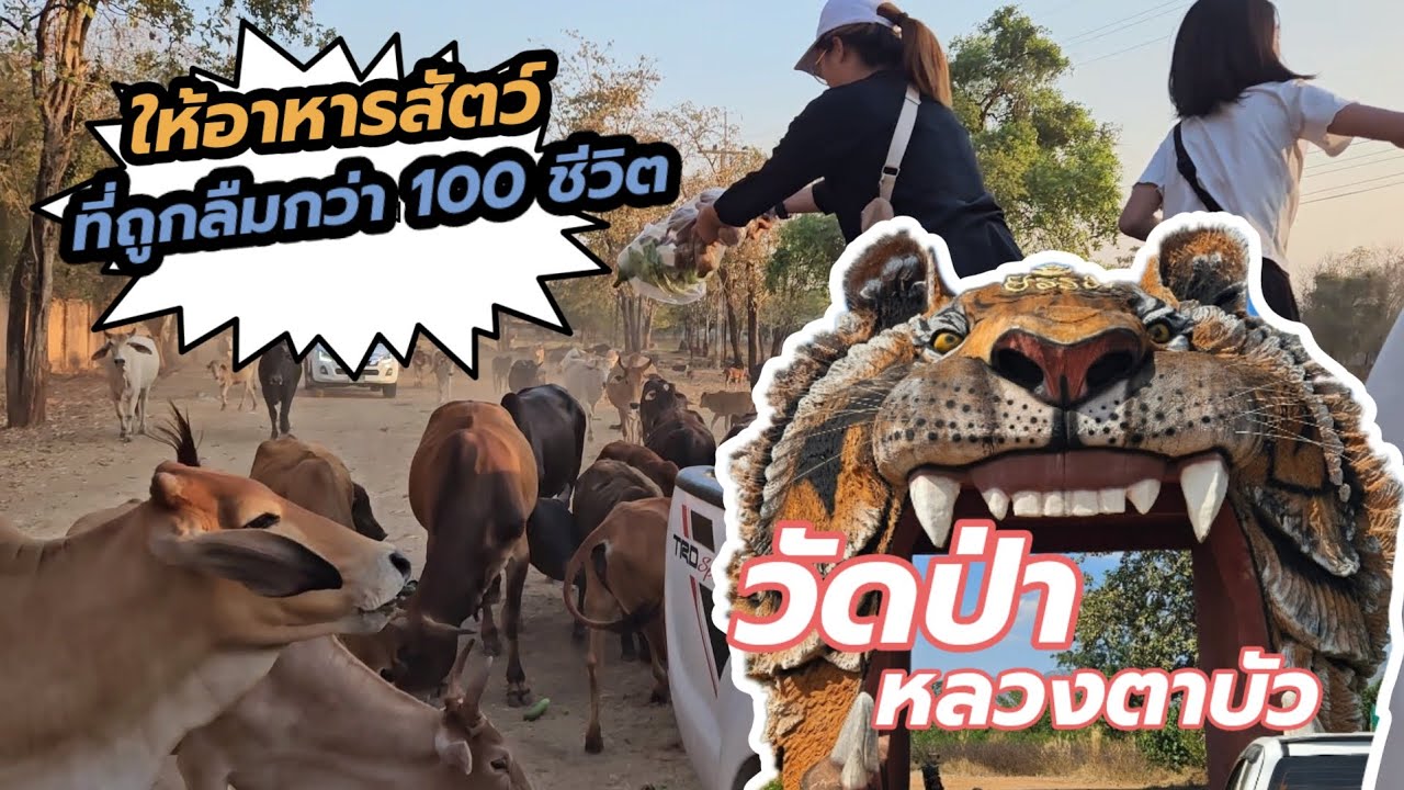 Wat Pa Luang Ta Bua Yan Sampanno