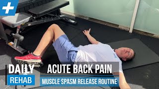 Acute Low Back Pain - Muscle Spasm Release Routine | Tim Keeley | Physio REHAB