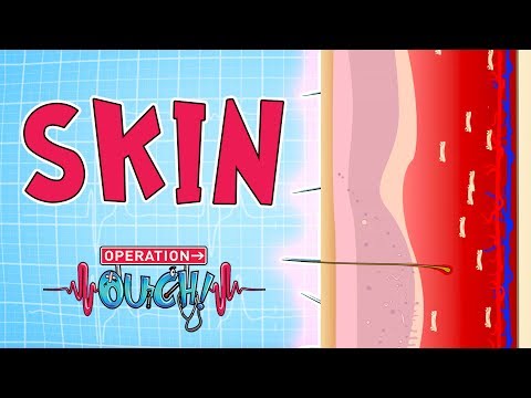Operation Ouch - Skin | Amazing Biology for Kids