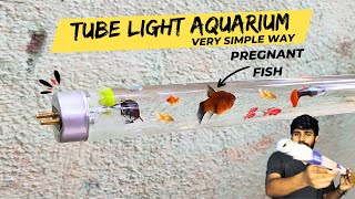 tube Light Fish Aquarium Making Fish Tank in Tube Light