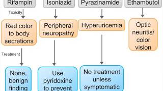 Step 2 High Yield - Pulmonology: Tuberculosis