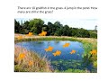 Goldfish Math