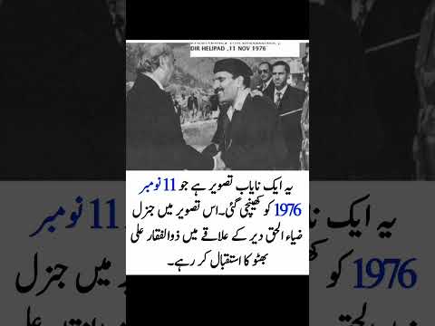 Zulfikar Ali Bhutto (Remix)