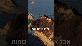 הורים שלא עוזרים לילדים | הרב דוד פריוף יורה!  #שיעוריתורה #הרבדודפריוף (הרב דוד פריוף) - התמונה מוצגת ישירות מתוך אתר האינטרנט יוטיוב. זכויות היוצרים בתמונה שייכות ליוצרה. קישור קרדיט למקור התוכן נמצא בתוך דף הסרטון