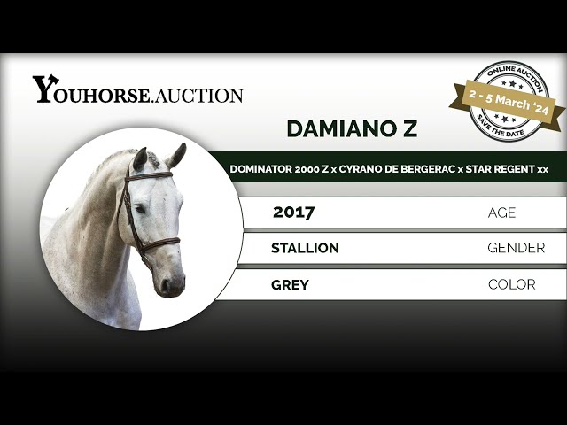 Damiano Z