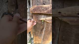 How to Open a Old Door