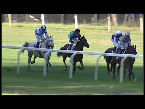 2021-12-05 corsa 1 metri 1750 Premio Wathba Stallions cup