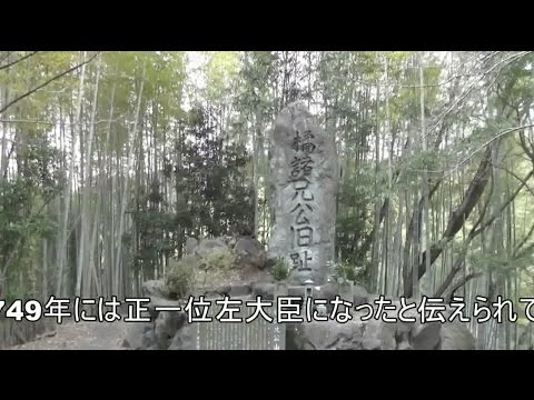 仏教学科 京都山城　山背古道を訪ねる1 (2)