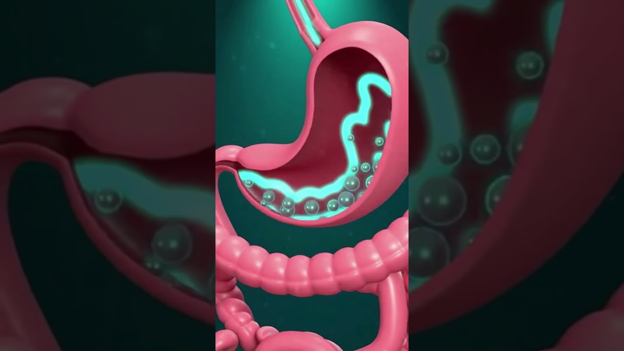 Why Your Stomach Growls 😷