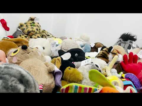 Kėdainių robinhudai. Pasivaikščiojimas po Aivaro parduotuvę