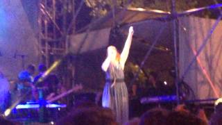 un fiore in una scatola