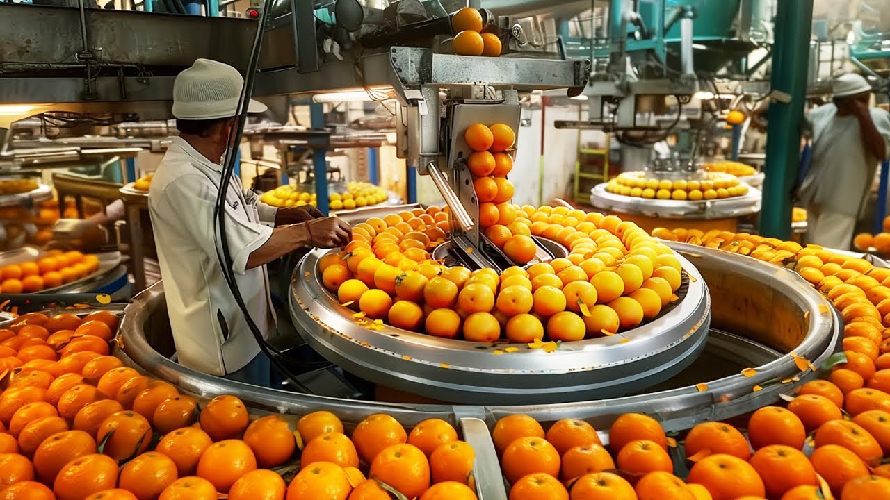 فيديوهات مذهلهلعمال يتقنون عملهم بشكل مذهل