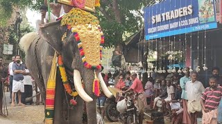 ആന ഇടഞ്ഞു കൊമ്പൻ തടത്താവിള ശിവൻ ഇടഞ്ഞു മാക്കലികാവ് പൂരം തെക്കേപുറം.കുന്നംകുളം makkalikavu pooran2025