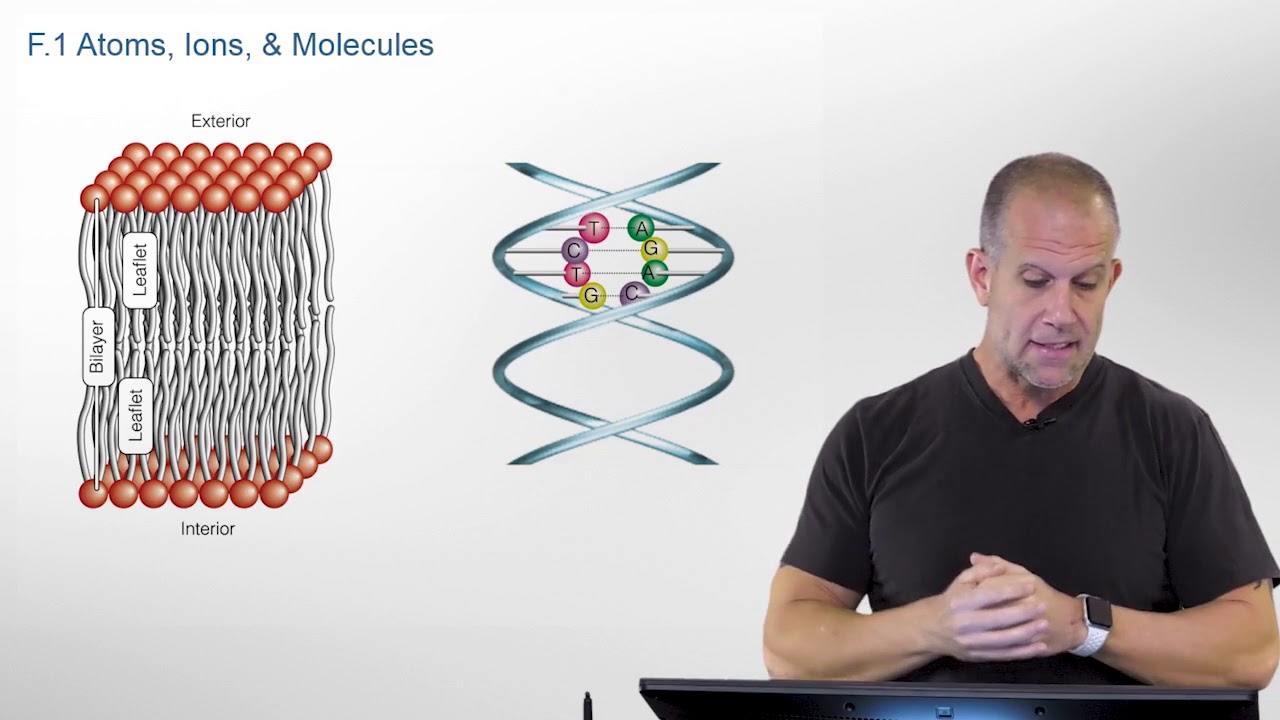 Physical Chemistry for the Life Sciences - Fundamentals