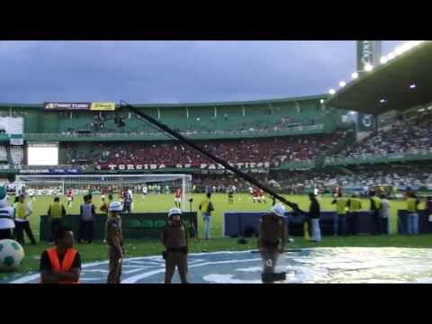 tetra VICE tetra VICE- VICE tetra VICE