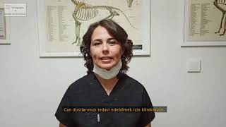 DÜNYA VETERİNER HEKİMLER GÜNÜMÜZ KUTLU OLSUN