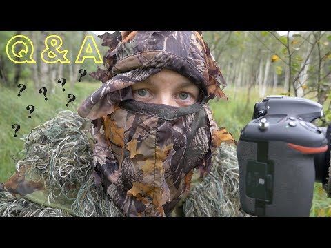 Q & A on WILDLIFE PHOTOGRAPHY | Looking for roe deer - how I make money