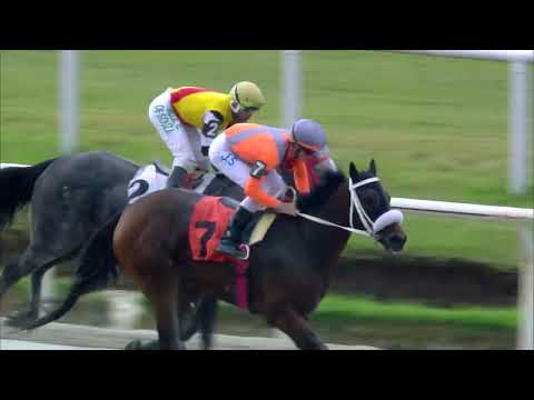 220326 c08 Diana/ WARM PUNCH