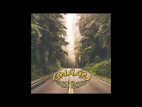 Sr. Wilson & Geliks - Gwaan (Quindactiv Remix)