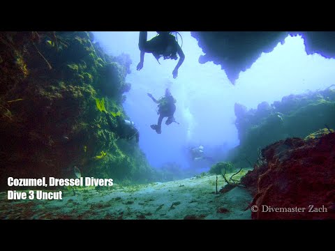 Cozumel December 2022 Dive 3 Uncut | Dressel Divers