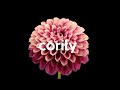 Cority Sustainability Cloud - Create a greener, more resilient future