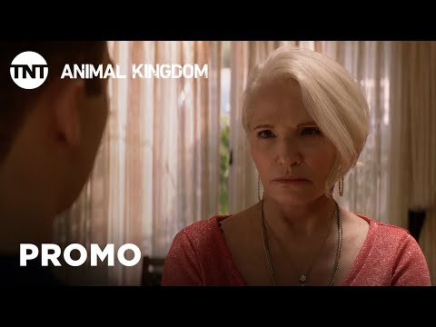 Animal Kingdom Season 4 (Promo 'A Warning')