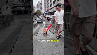 Download lagu I thought it would fall... but it's smooth all the way to the bottom! #shorts #nobatidao mp3 Download lagu I thought it would fall... but it's smooth all the way to the bottom! #shorts #nobatidao mp3