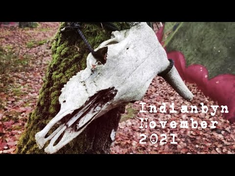 DEN BORTGLÖMDA INDIANBYN - november 2021 - BLEKINGE - Huawei P40 PRO