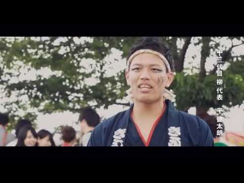 ぶっつけろ！｜よさこいサークル 柳｜岐阜聖徳学園大学