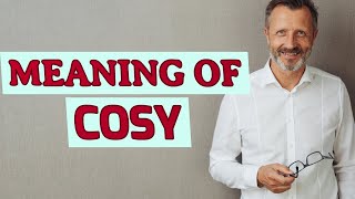 Cosy  Definition of cosy