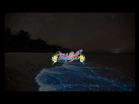 NOSH X SHAAVOYAAGE ~ [ Remix 2k19 ]