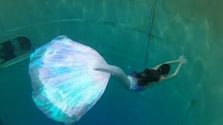 Real mermaid tail extended betta fish