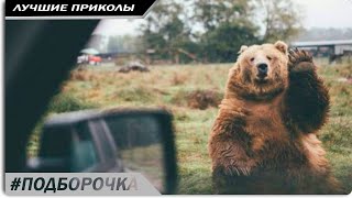 РУССКИЕ ВИДЕО ПРИКОЛЫ 2018 года, ржачные - смех до слез