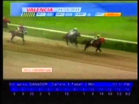 Resumen Viernes, 24 de Mayo de 2013 - Valencia