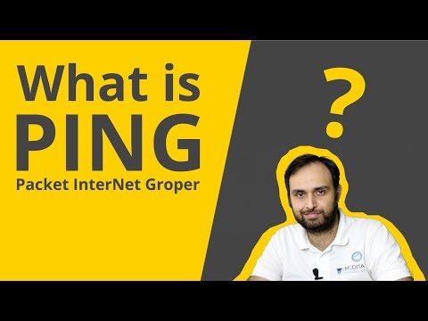 What is Packet Internet Gropher? | What is PING? | PING Explained