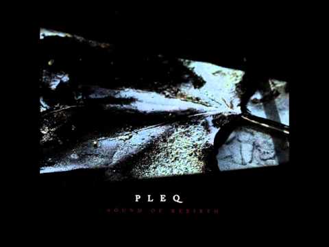 Pleq - Raindrop (Spyweirdos Remix)