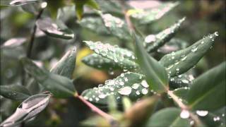 Aes Dana - Manannan Mac Lir