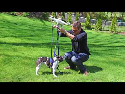 DJI Phantom 3 and 4 maximum lifting weight