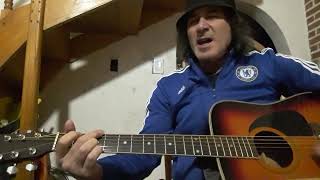 cat stevens daytime cover