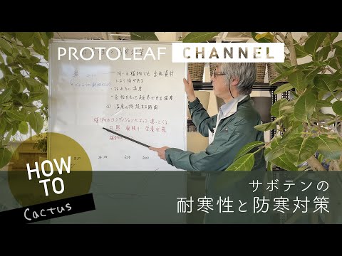 園芸 サボテンの越冬