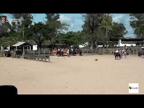 Festividades Alusivas a Epopeia de 27 de Janeiro de 1865 - Provas Campeiras  23/01/2026