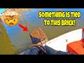 The Most Extreme Magnet Fishing Jackpot EVER - You Won’t Believe What I Found!!!