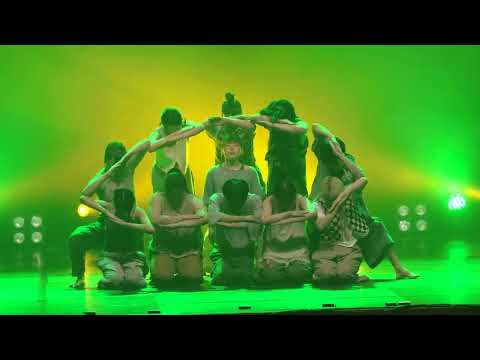 비디오 13